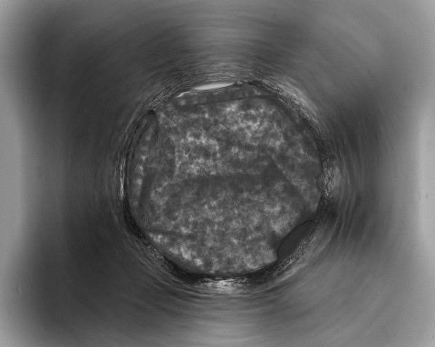 X0000095530365200801111418