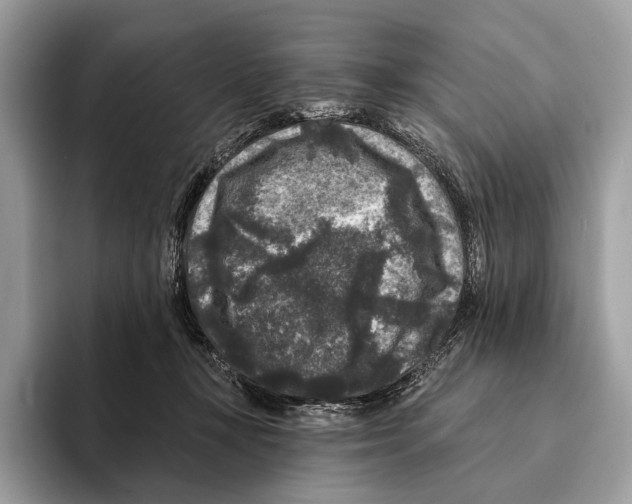 X0000095530367200801111418