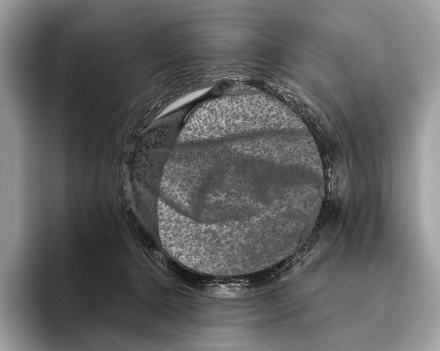 X0000095530368200801111418