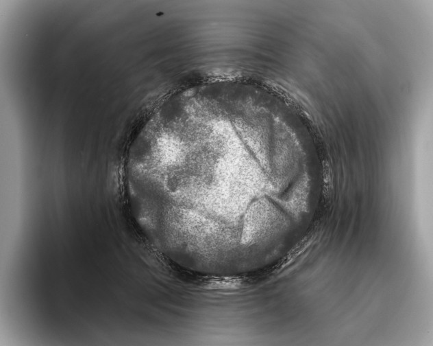 X0000095530369200801111418