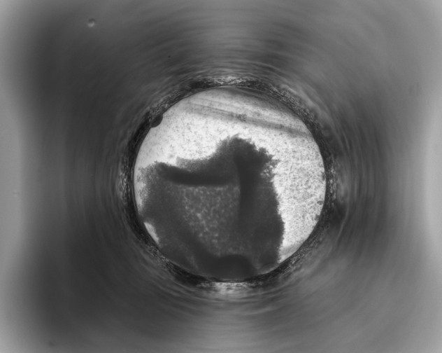 X0000095530371200801111418