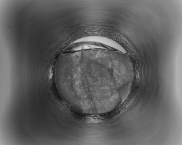 X0000095530372200801111418