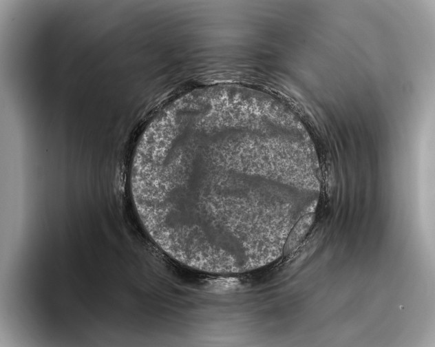 X0000095530374200801111418