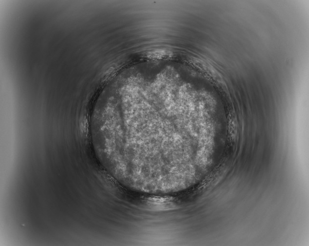 X0000095530375200801111418