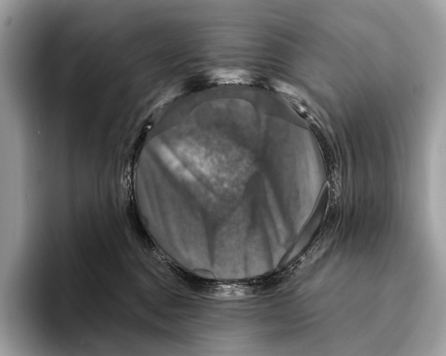 X0000095530376200801111418