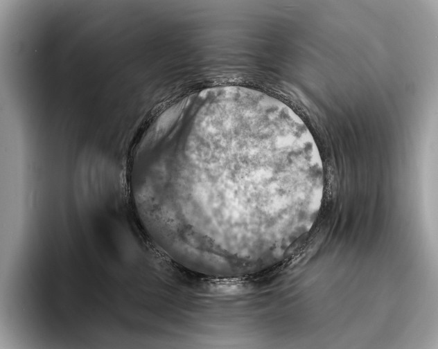 X0000095530377200801111418