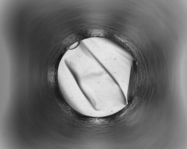 X0000095530379200801111418