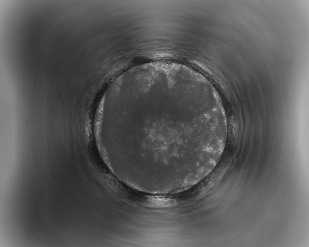 X0000095530380200801111418