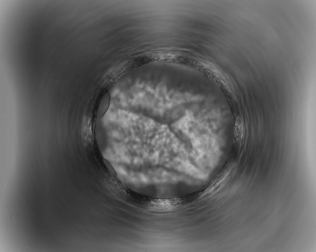 X0000095530381200801111418