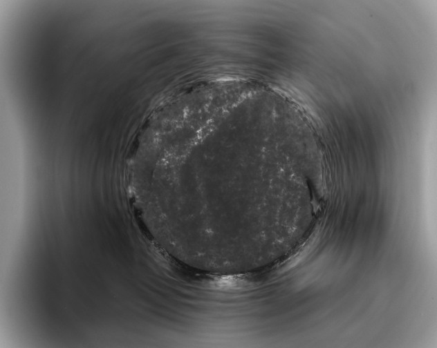 X0000095530382200801111418