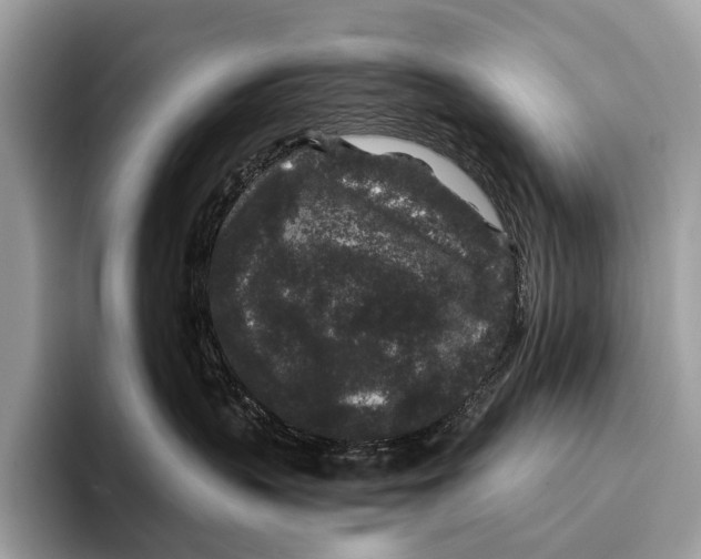 X0000095530383200801111418