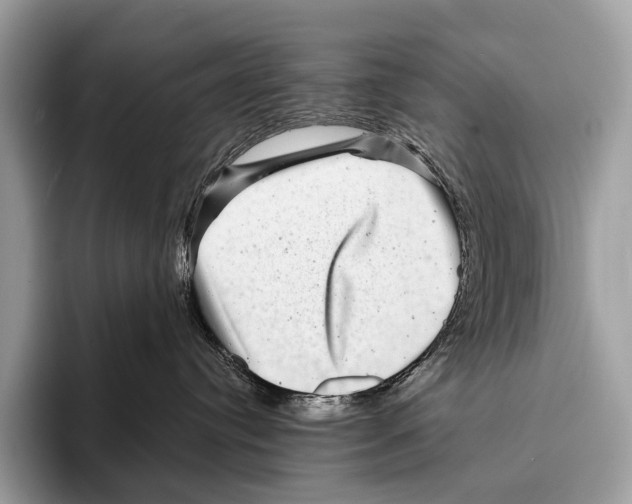 X0000095530384200801111418