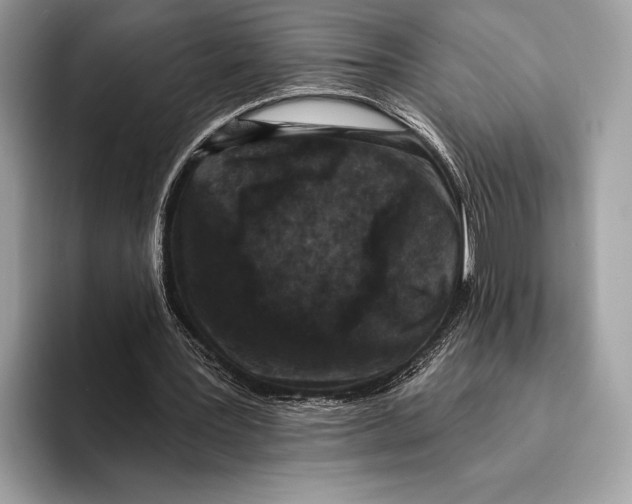 X0000095530387200801111417