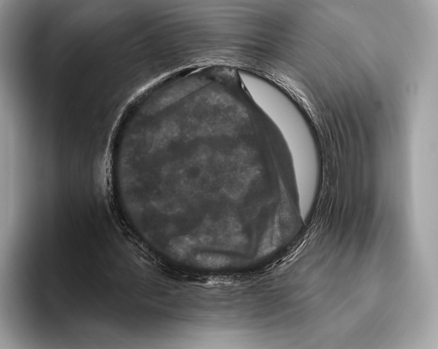 X0000095530388200801111417