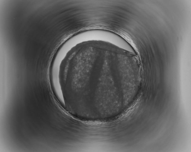 X0000095530389200801111417