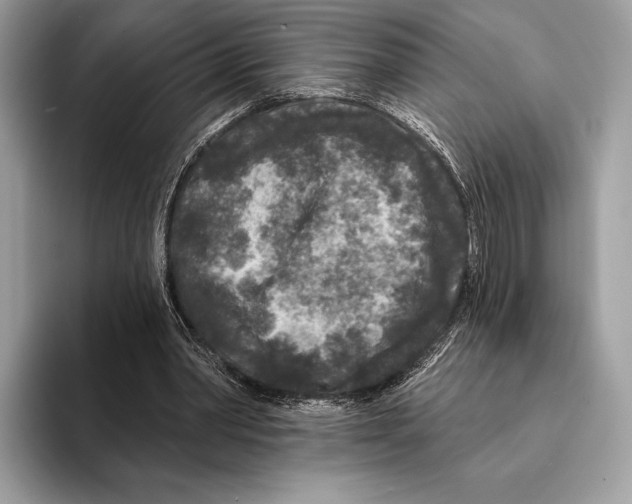 X0000095530390200801111417