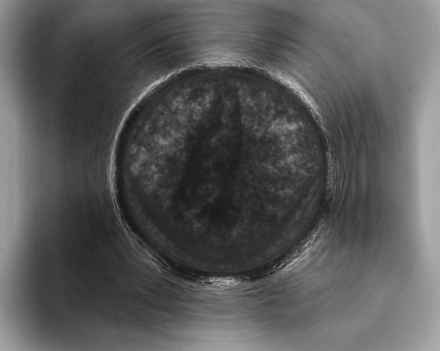 X0000095530391200801111417