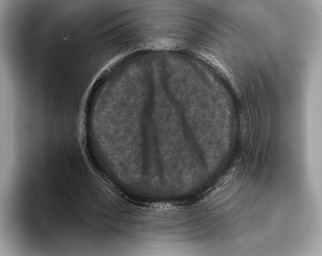 X0000095530392200801111417