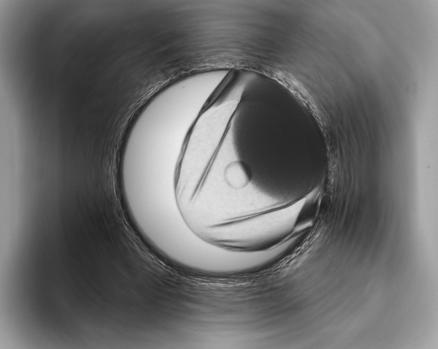 X0000095530393200801111417