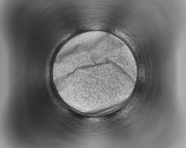 X0000095530394200801111417