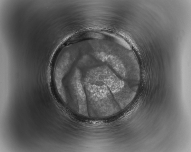 X0000095530395200801111417