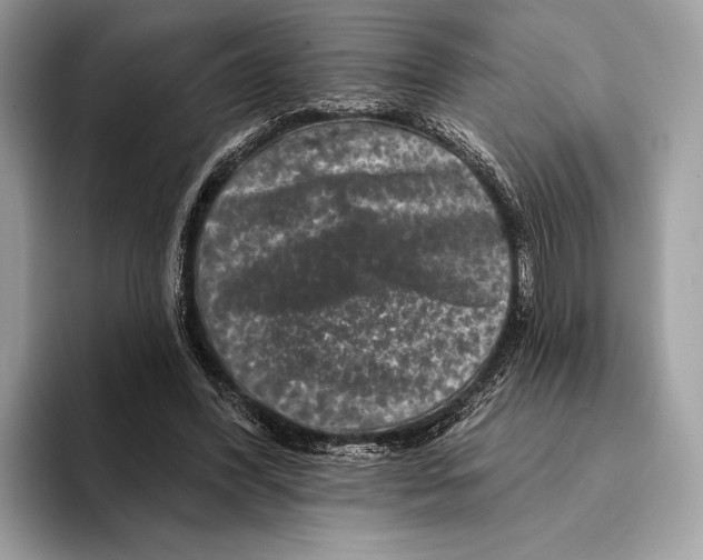 X0000095530396200801111417