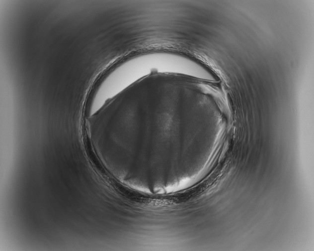 X0000095530399200801111417