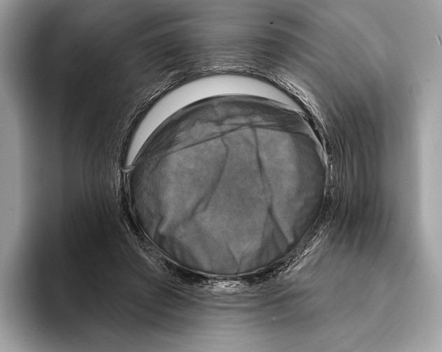 X0000095530401200801111417