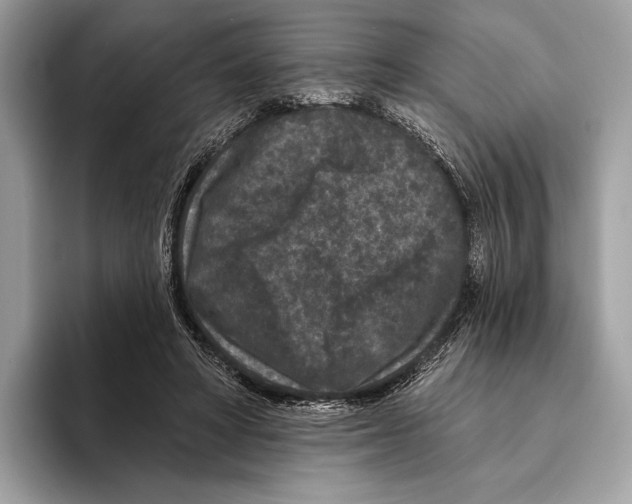 X0000095530402200801111417