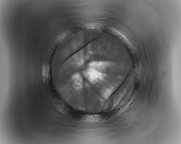 X0000095530403200801111417