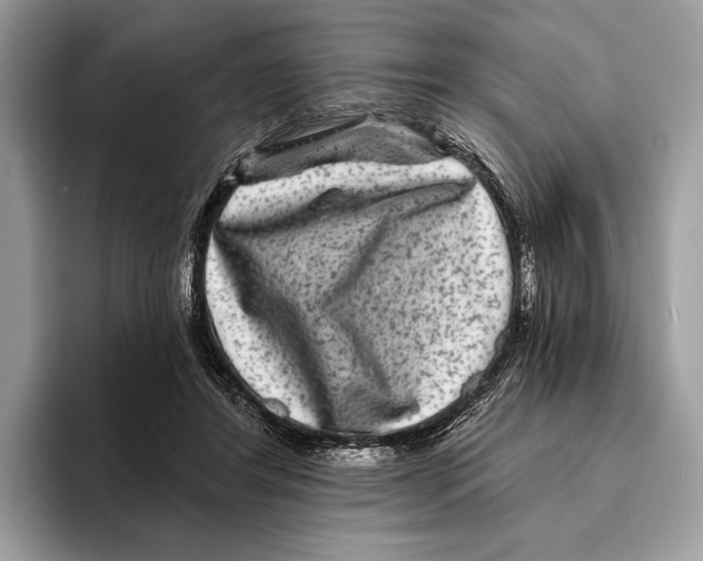 X0000095530404200801111417