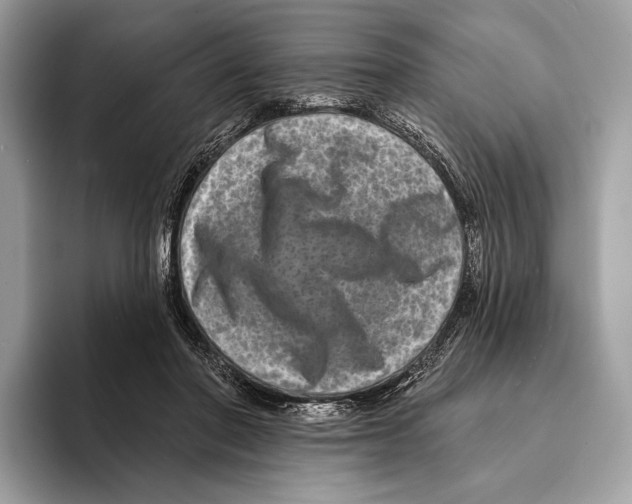 X0000095530406200801111417