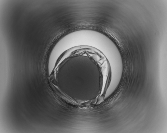 X0000095530407200801111417