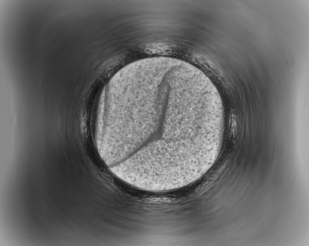 X0000095530408200801111417