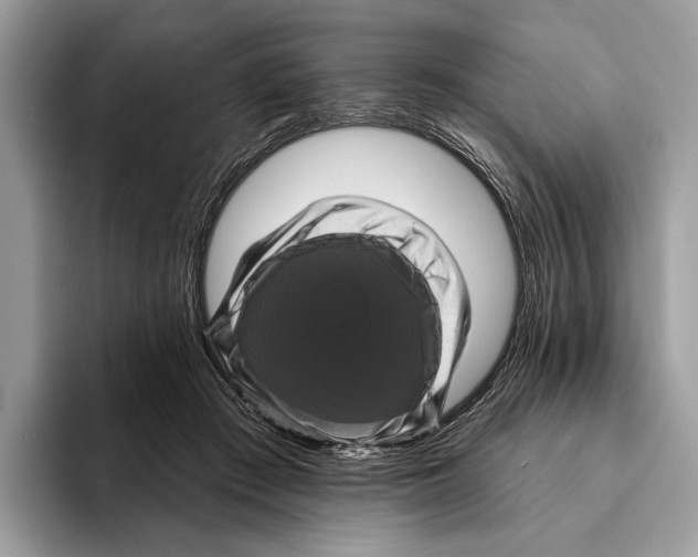 X0000095530409200801111417