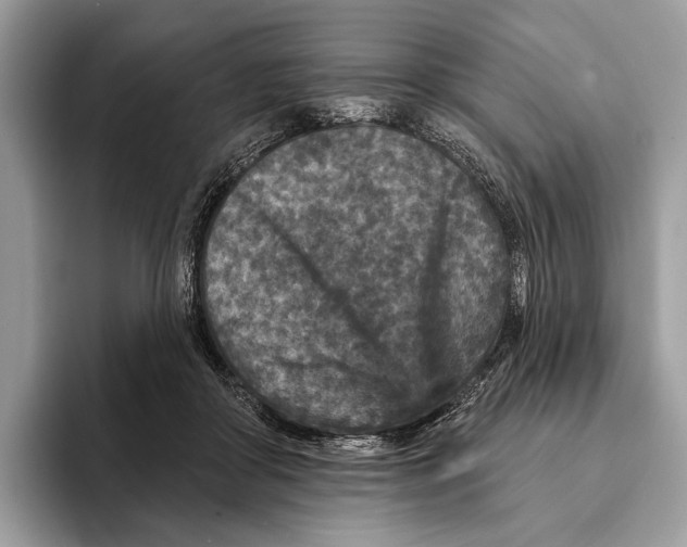 X0000095530410200801111417