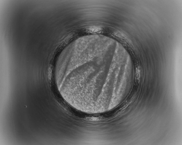 X0000095530412200801111417