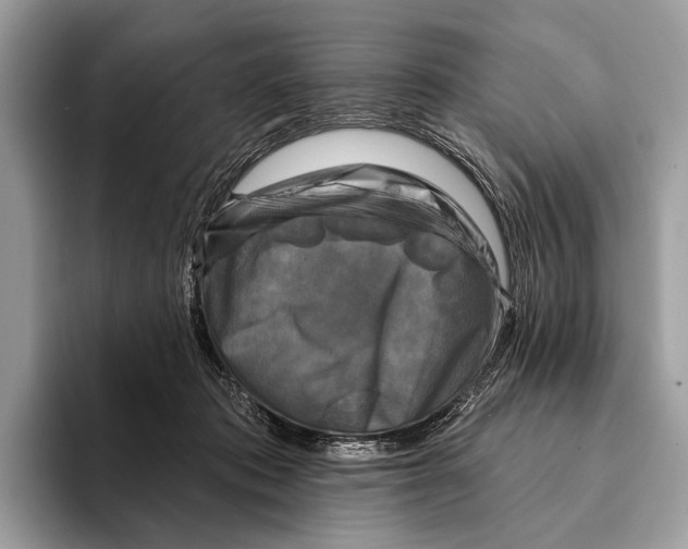 X0000095530413200801111417