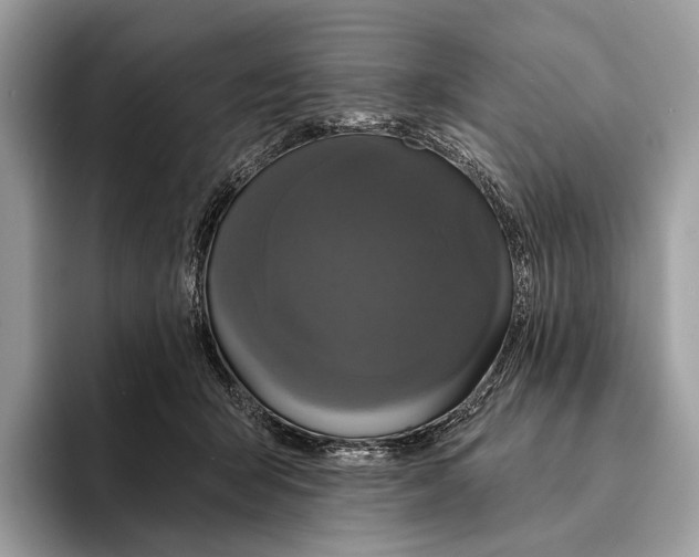 X0000095530415200801111417