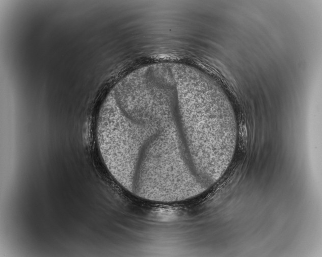 X0000095530416200801111417