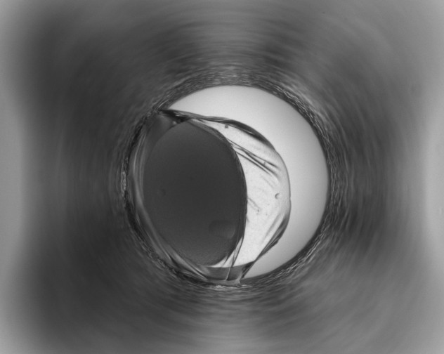 X0000095530417200801111417