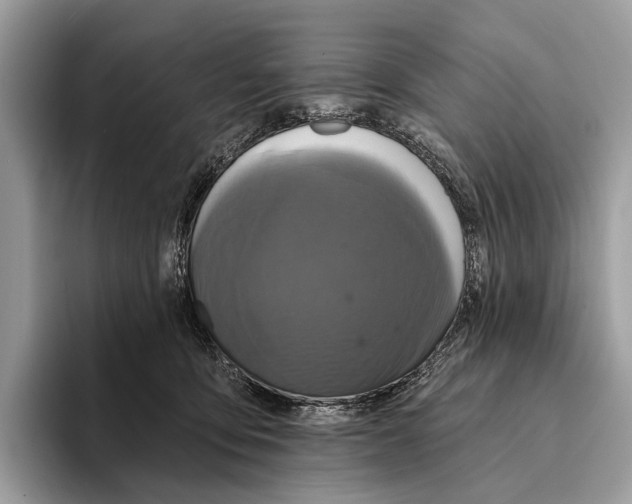 X0000095530419200801111417