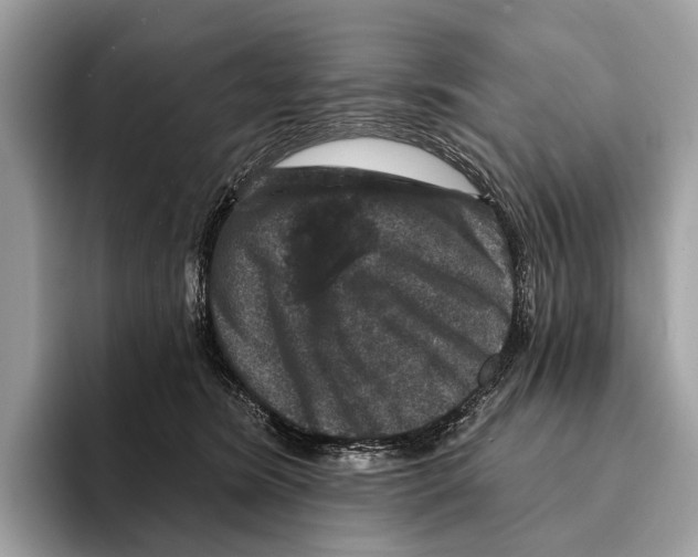 X0000095530420200801111417