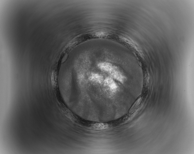 X0000095530421200801111417