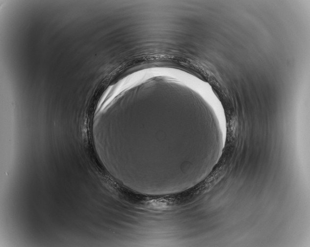 X0000095530423200801111417