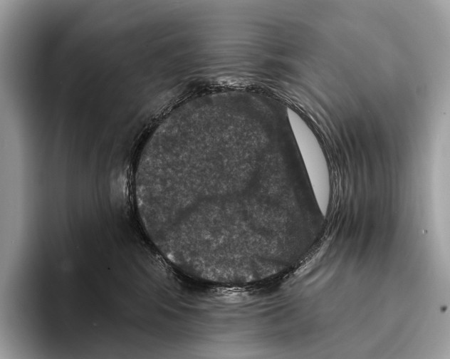 X0000095530424200801111417