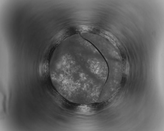 X0000095530425200801111417