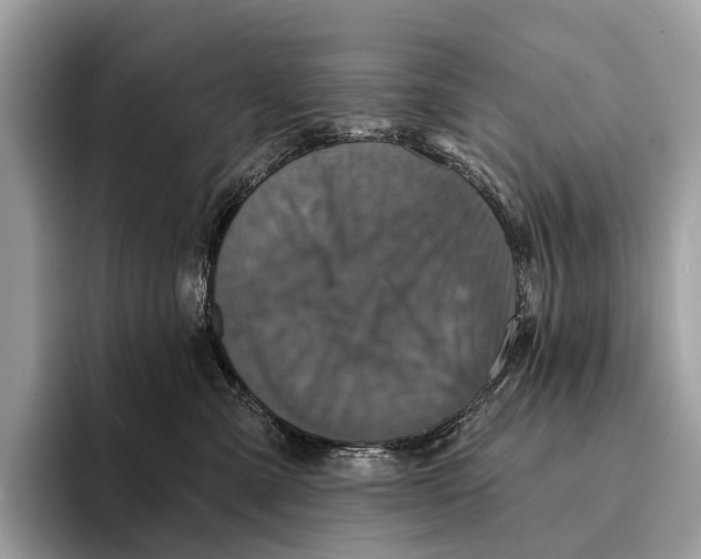 X0000095530427200801111417