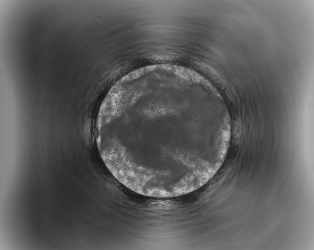 X0000095530428200801111417