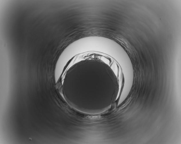 X0000095530429200801111417